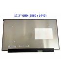 17.3 inch laptop scherm - 2560 x 1440 - mat - 40 pin - QHD, IPS - 240Hz - NE173QHM-NZ3