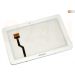 Samsung Galaxy Tab 8.9 inch Wifi GT-P7300, P7310 digitizer wit